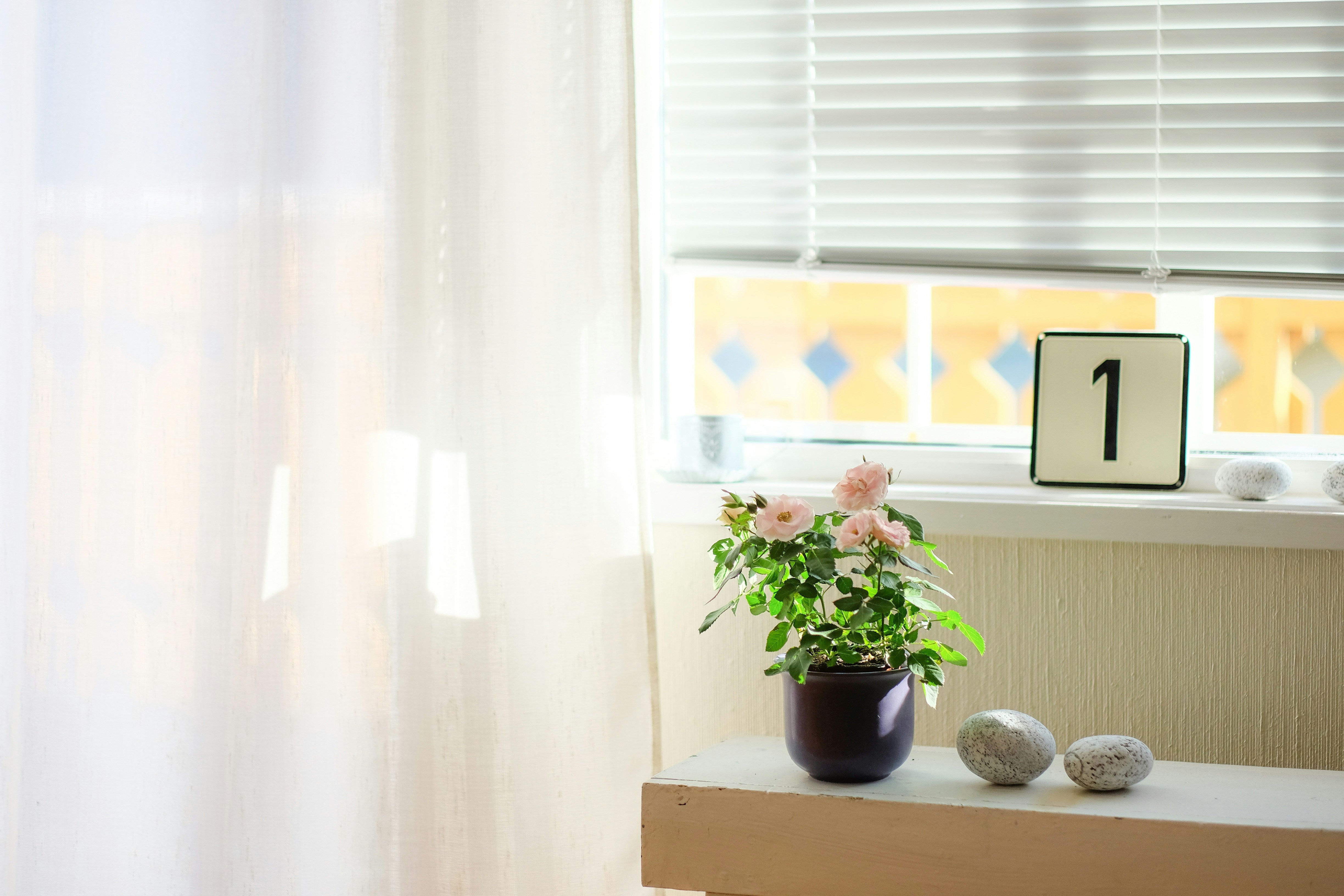 Entdecken Sie die Kunst der minimalen Fenstergestaltung: Wie weniger mehr bewirken kann