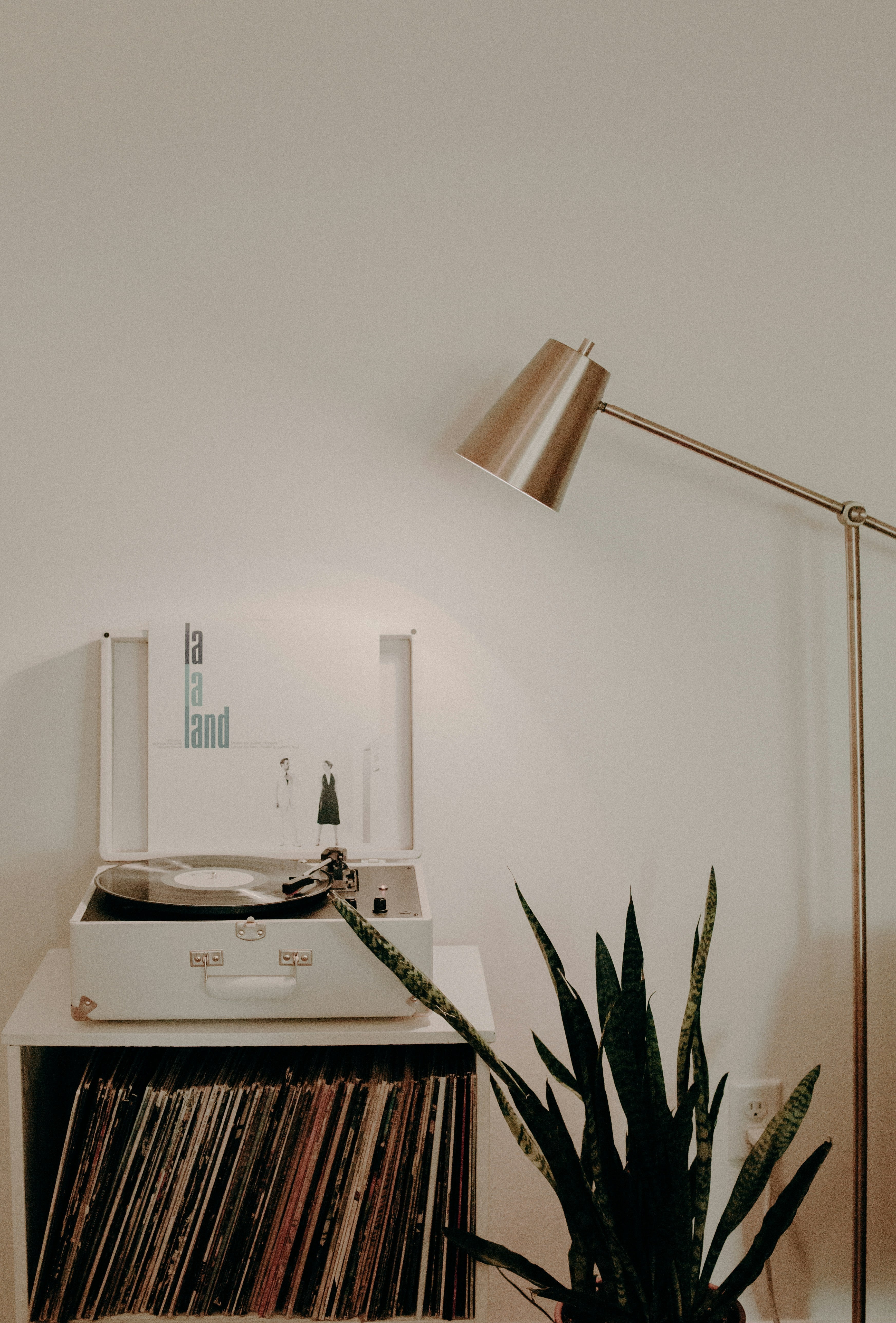 Möbelfolien im Fokus – Design und Nachhaltigkeit für Ihre Möbel