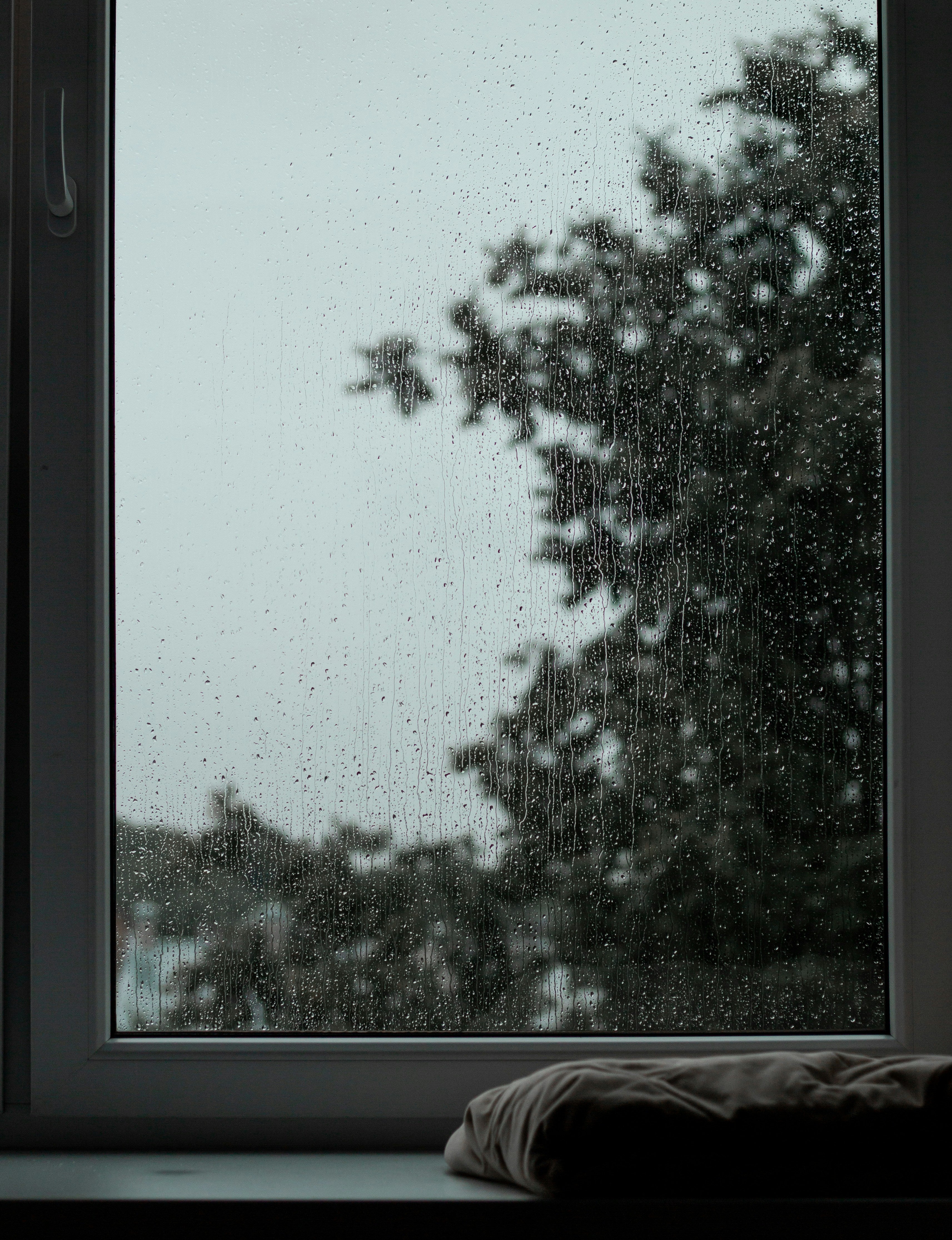 Sicher durch jedes Wetter: Ihre Fenster mit Folien schützen