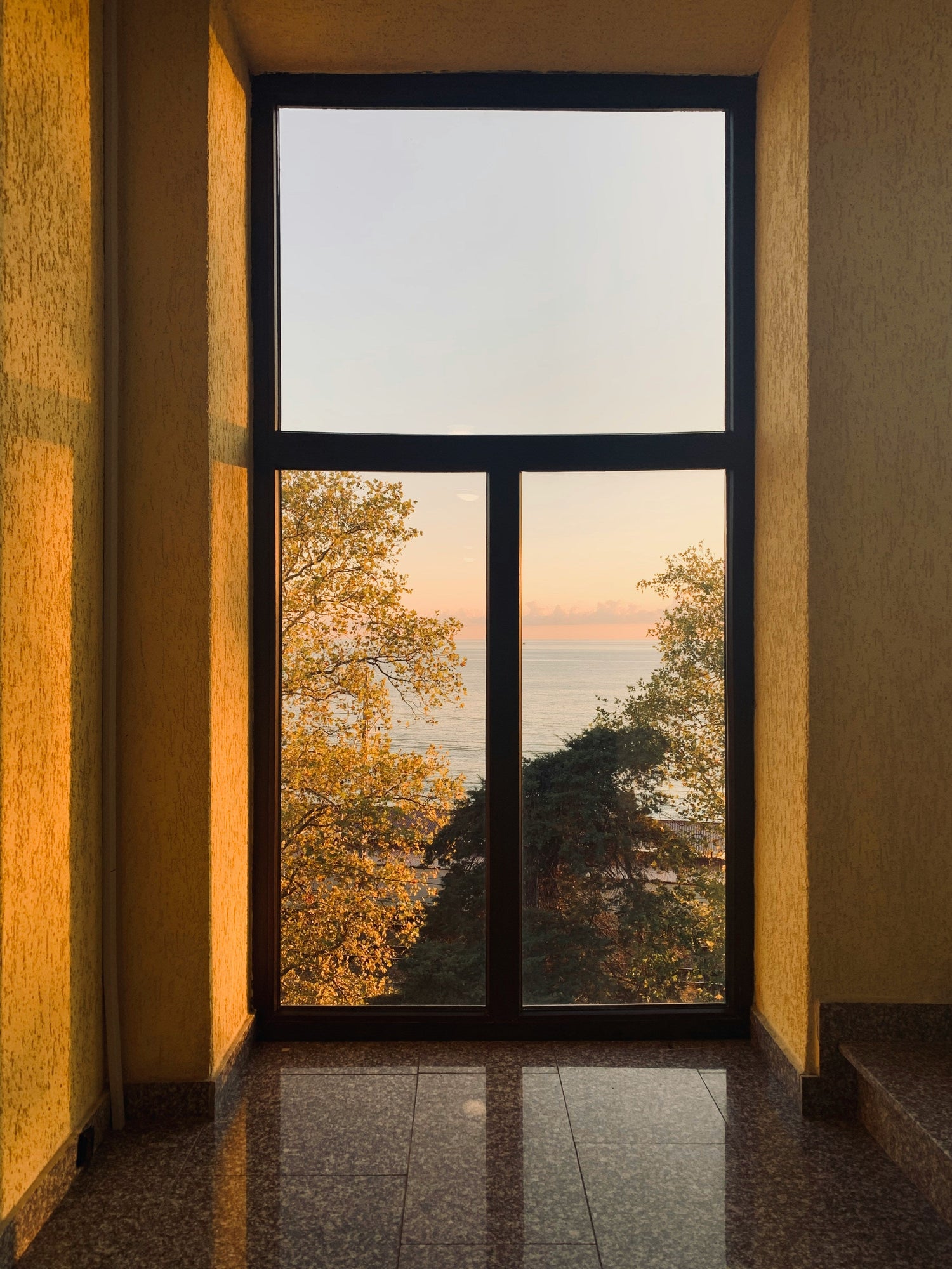Fensterfolien als Stilmittel: Wie Sichtschutz offene Wohnkonzepte ergänzt