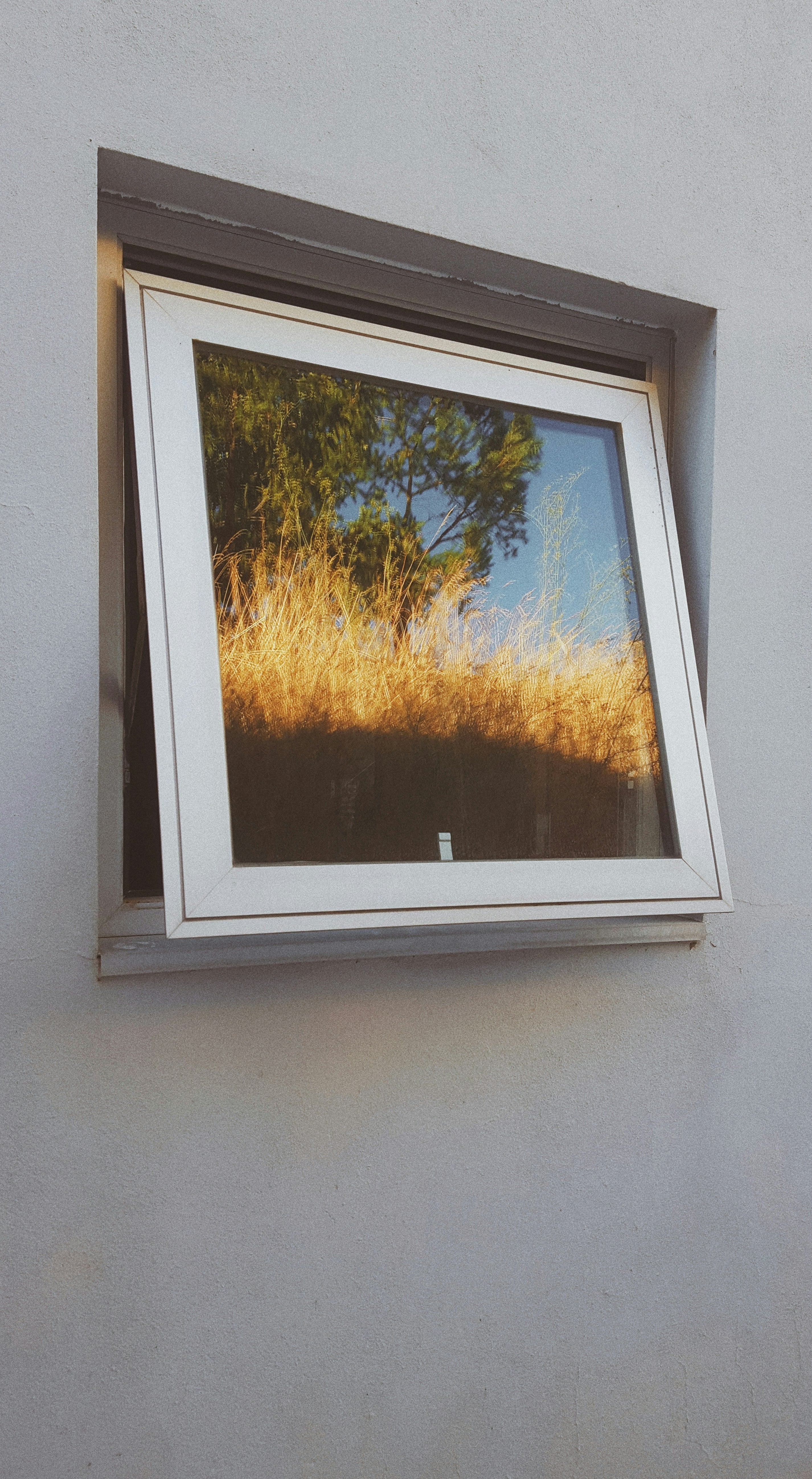Licht und Gemütlichkeit: Die Vorteile von Fensterfolien im Wohnraum